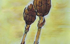 つくしんぼう - 喜子