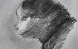 精神的猫ちゃん(安定剤もふもふこころ) - 真鍋哲地