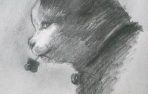 もふもふ幸せの四つ葉のクローバー - 真鍋哲地