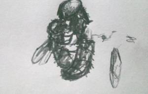 尊く、生きた絶えた蝿の母と子 - 真鍋哲地