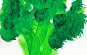 ブロッコリー タテ - かづみ