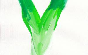 下仁田ネギ タテ - かづみ