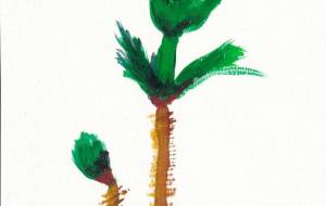 タラの芽 タテ - かづみ