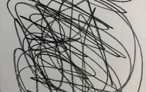 アール・ブリュット挑戦 - 笹谷正博