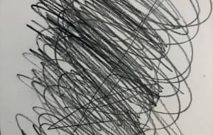 アール・ブリュット挑戦アール・ブリュット挑戦 - 笹谷正博