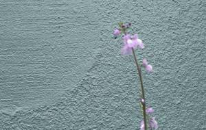 緑と紫 - 藤本しのぶ