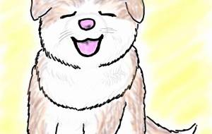 にっこり赤ちゃん秋田犬 - 華凪