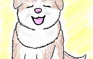 にっこり赤ちゃん秋田犬 - 華凪 