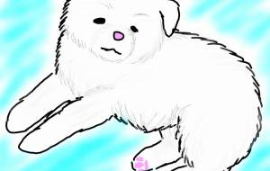 にっこり赤ちゃん秋田犬(白毛) - 華凪