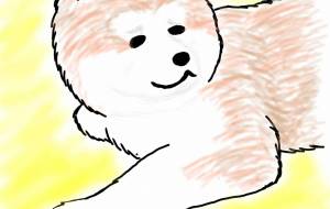 にやり顔もするんです。秋田犬(赤毛) - 華凪