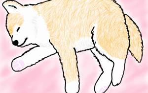 電池切れもふもふ秋田犬(赤毛) - 華凪