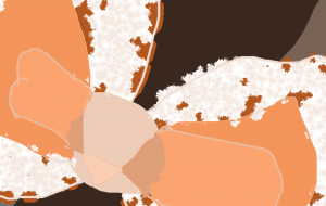 茶色のりぼん27 - 沖野ゆうき