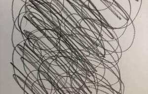 アール・ブリュット挑戦 - 笹谷正博