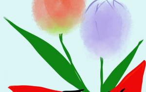 チューリップ - nao.k