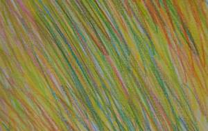 芽吹き - まかろんちゃん