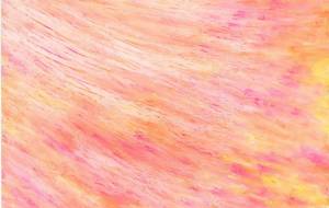 春風 - 工房はんど アキ