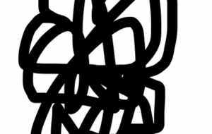 アール・ブリュット - 笹谷正博