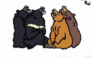 ヒマラヤツキノワグマとアメリカクロクマ - シマハイエナ