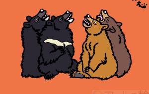 ヒマラヤツキノワグマとアメリカクロクマ - シマハイエナ