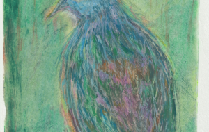 熱帯雨林のハト - ゆきんこ