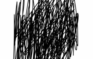 アール・ブリュット挑戦 - 笹谷正博