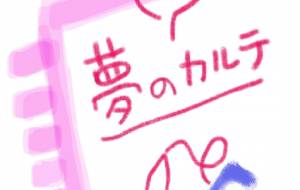 夢のカルテシリーズ1-5 - 万煉(まれん)