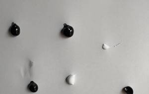 アール・ブリュット挑戦 - 笹谷正博