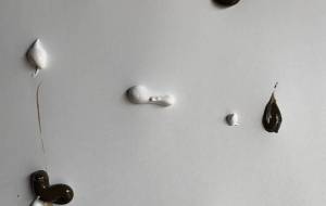 アール・ブリュット挑戦 - 笹谷正博