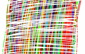 アール・ブリュット挑戦 - 笹谷正博