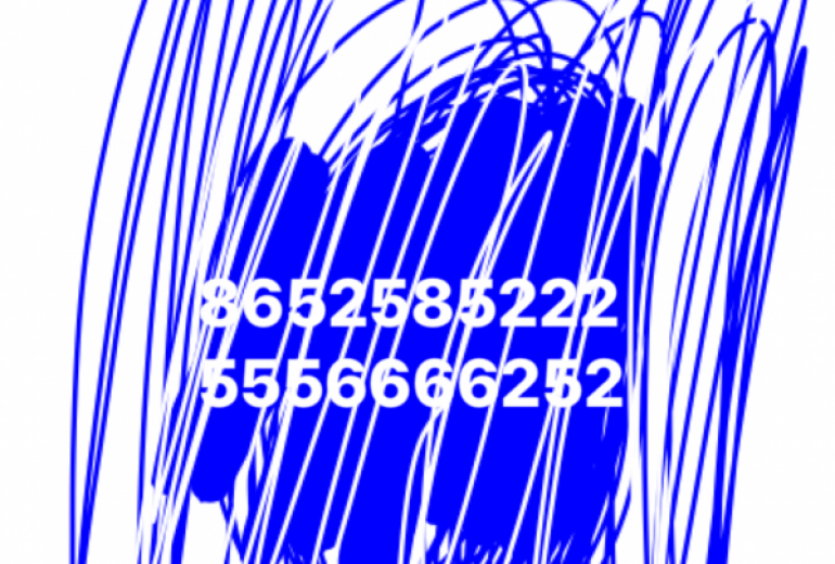 アール・ブリュット挑戦