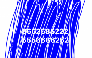 アール・ブリュット挑戦 - 笹谷正博