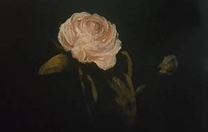 ホームレスの尊い花、春の日差し完成作品です!夜か?少し暗い!! - 真鍋哲地