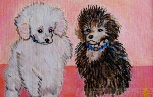 ライ＆タロウ - 萩原克典 