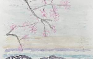 松島の朝明け - Hiro 