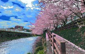 桜02 - Azk