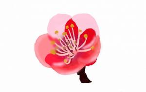 梅の花 - ユイ