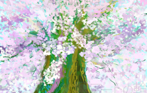 さくら満開 - ゆふーち 