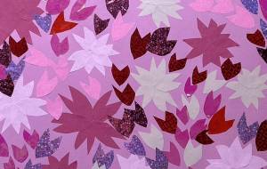 桜満開 - 名もなき米3号