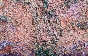 さくら、てつじくんのえはちやんとまじめにかけばいいえになるのになあ - 久保田 俊