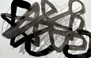 アール・ブリュット挑戦 - 笹谷正博