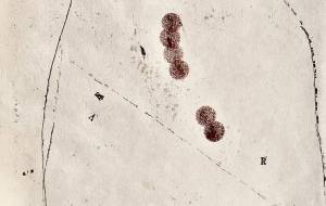 無題 - 【イベント】可能性アートプロジェクト 2026 