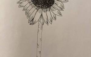 ひまわり - 【イベント】可能性アートプロジェクト 2026 