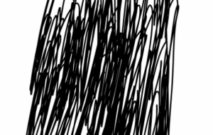 アール・ブリュット挑戦 - 笹谷正博