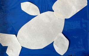 ベルーガ - 名もなき米3号