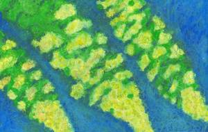 幸せのおじぎ　 - 工房はんど　アキ 