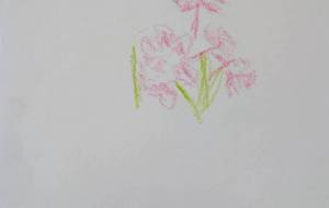 桜 - KAZUO