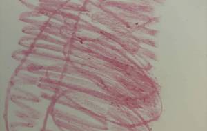 アール・ブリュット挑戦 - 笹谷正博