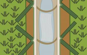 流しそうめん君 - アクター 