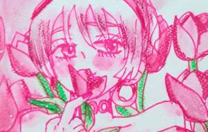 愛らしい桃色チューリップ - ましゅまろまかろん