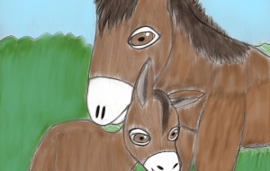 ロバの親子 - 聖羽SEIHA